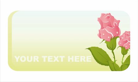 simsearch:400-04331987,k - beautiful roses banner Foto de stock - Super Valor sin royalties y Suscripción, Código: 400-04836139