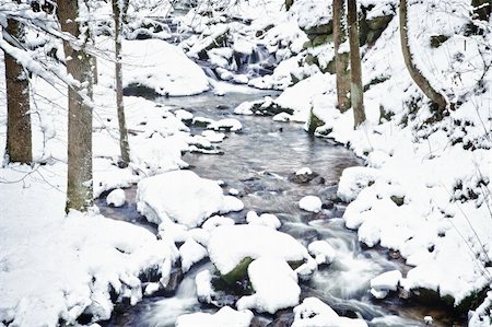 Winter Stream in a Forest of Austria Stockbilder - Microstock & Abonnement, Bildnummer: 400-04838152