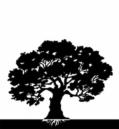 black Silhouette of a tree - vector illustration Stock Photo - Budget Royalty-Free & Subscription, Code: 400-04838866