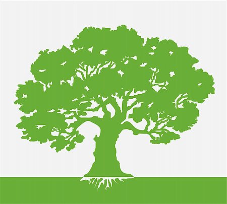 Tree vector illustration on green background art Stock Photo - Budget Royalty-Free & Subscription, Code: 400-04838867