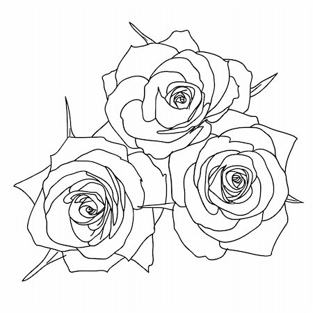 simsearch:400-04839001,k - Three Roses in hand drawn style Foto de stock - Super Valor sin royalties y Suscripción, Código: 400-04839001