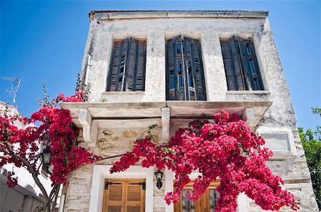 Facade of a mediterranean House with blooming Tree Stock Photo - Budget Royalty-Free & Subscription, Code: 400-04839173