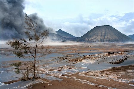 simsearch:400-04680218,k - Mt. Bromo volcano, East Java, Indonesia Fotografie stock - Microstock e Abbonamento, Codice: 400-04839336