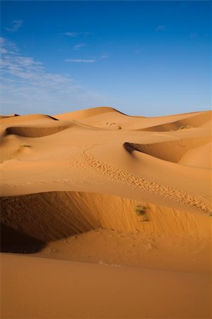 Desert dunes in Morocco Photographie de stock - Aubaine LD & Abonnement, Code: 400-04839874