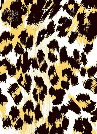 felis concolor - animal skin texture pattern Stock Photo - Budget Royalty-Free & Subscription, Code: 400-04830544