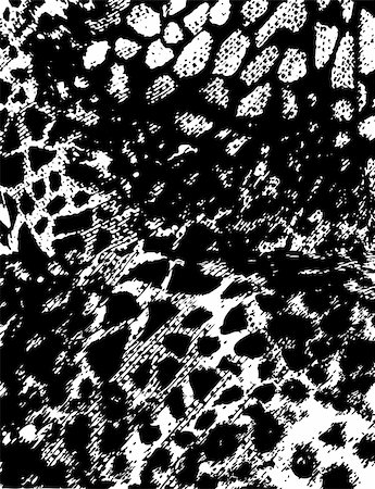 animal skin texture pattern Photographie de stock - Aubaine LD & Abonnement, Code: 400-04830545