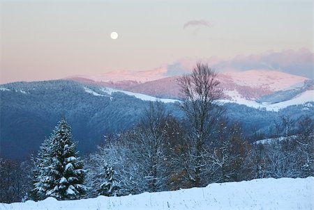 simsearch:400-04319458,k - winter sunset mountain landscape with snowy forest and Moon on sky (Carpathian, Ukraine) Stock Photo - Budget Royalty-Free & Subscription, Code: 400-04830788