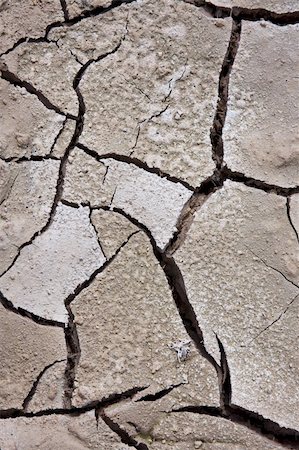 parched - Cracked, parched land. Dried mud. Stock Photo - Budget Royalty-Free & Subscription, Code: 400-04831612