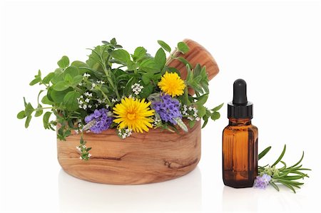 Herb leaf and flower sprigs of rosemary, lavender, mint, marjoram and dandelion flowers  in an olive wood mortar with pestle and an essential oil glass bottle, isolated over white background. Photographie de stock - Aubaine LD & Abonnement, Code: 400-04831697