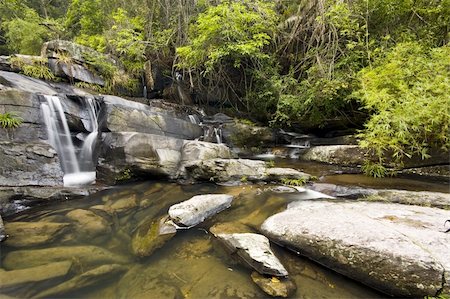 simsearch:400-05273059,k - It is a water spring in forest. Stock Photo - Budget Royalty-Free & Subscription, Code: 400-04831778