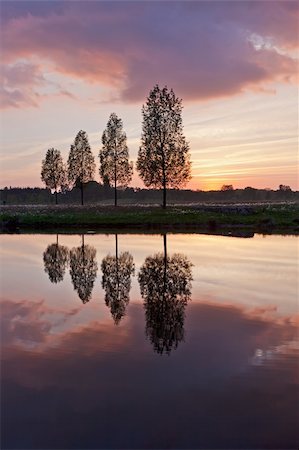 simsearch:400-05065940,k - Leafless tree near lake on sunset background sky Stock Photo - Budget Royalty-Free & Subscription, Code: 400-04832389