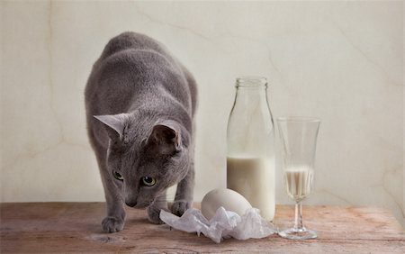 Still Life with Milk and Eggs Stock Photo - Budget Royalty-Free & Subscription, Code: 400-04832396