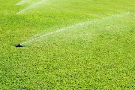 düngen - grass garden spring sprinkle  water in a row Stockbilder - Microstock & Abonnement, Bildnummer: 400-04832915