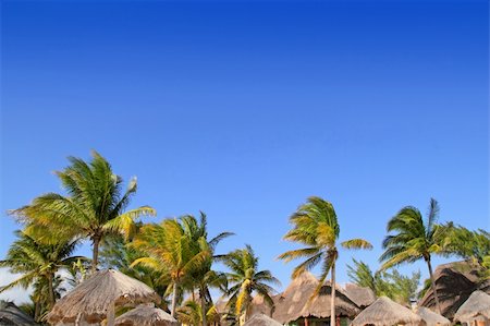 simsearch:400-05310231,k - Mayan riviera tropical sunroof palapa hut coconut palm trees blue sky Fotografie stock - Microstock e Abbonamento, Codice: 400-04833087