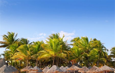 simsearch:400-05310231,k - Mayan riviera tropical sunroof palapa hut coconut palm trees blue sky Fotografie stock - Microstock e Abbonamento, Codice: 400-04833096