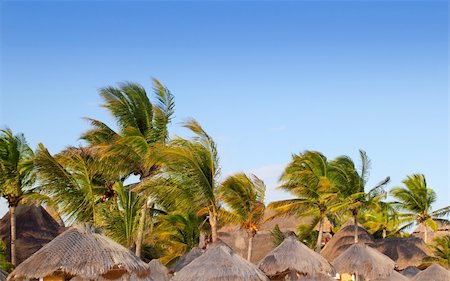 simsearch:400-05310231,k - Mayan riviera tropical sunroof palapa hut coconut palm trees blue sky Fotografie stock - Microstock e Abbonamento, Codice: 400-04833098
