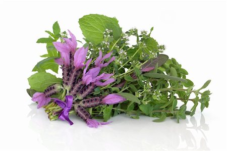 dry cured - Lavender and thyme herb flowers with oregano, lemon balm  and green and purple sage leaves in a bunch isolated over white background, herbs used in alternative medicine. Stock Photo - Budget Royalty-Free & Subscription, Code: 400-04833655