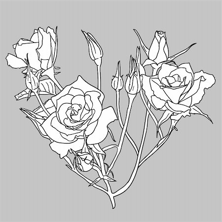 simsearch:400-04345175,k - floral design element and hand-drawn , vector illustration Photographie de stock - Aubaine LD & Abonnement, Code: 400-04844368