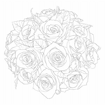 simsearch:400-04839001,k - floral design element and hand-drawn , vector illustration Stock Photo - Budget Royalty-Free & Subscription, Code: 400-04844360