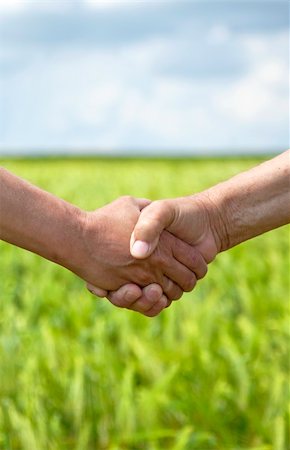 shaking hands kids - Farmers handshake in green wheat field. Stock Photo - Budget Royalty-Free & Subscription, Code: 400-04845386