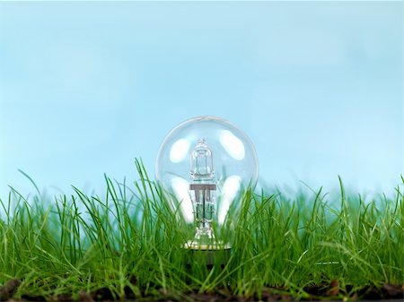 simsearch:400-05731622,k - Green grass and a light bulb  isolated against a blue sky Stock Photo - Budget Royalty-Free & Subscription, Code: 400-04846214