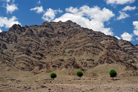 Leh in Ladakh - the far Norther part of India. Foto de stock - Royalty-Free Super Valor e Assinatura, Número: 400-04846991