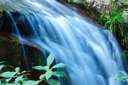 raywoo (artist) - Beautiful waterfall landscape by slow shutter Photographie de stock - Aubaine LD & Abonnement, Code: 400-04847488