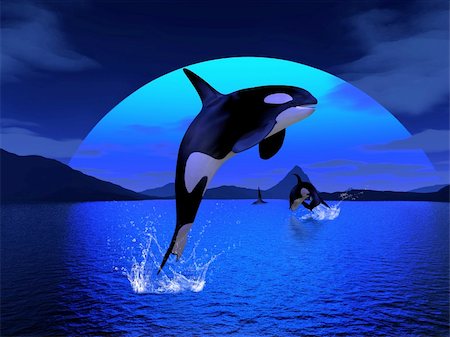 orcawhale enjoy the freedom Stock Photo - Budget Royalty-Free & Subscription, Code: 400-04848307