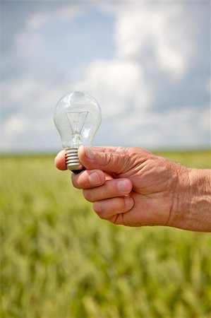 Farmer's hand keep lamp in green wheat field. Stock Photo - Budget Royalty-Free & Subscription, Code: 400-04848629