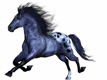 simsearch:400-08015077,k - a powerful Wild horse - isolated on white Foto de stock - Super Valor sin royalties y Suscripción, Código: 400-04848809