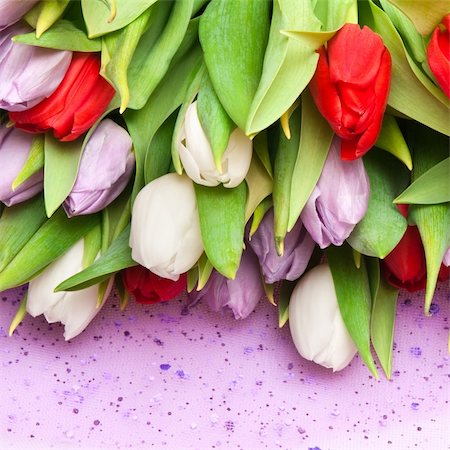 simsearch:400-04340566,k - schönen Blumenstrauß von Tulpen, verschiedene Farben Stockbilder - Microstock & Abonnement, Bildnummer: 400-04840067