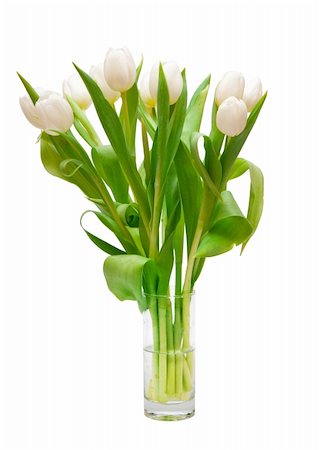 beautiful white tulips in vase Foto de stock - Super Valor sin royalties y Suscripción, Código: 400-04840071