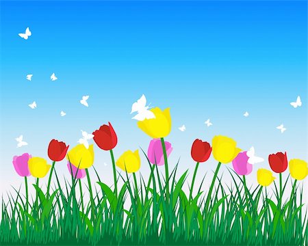 simsearch:400-04583701,k - Meadow background with tulips. All objects are separated. Vector illustration. Foto de stock - Super Valor sin royalties y Suscripción, Código: 400-04840903