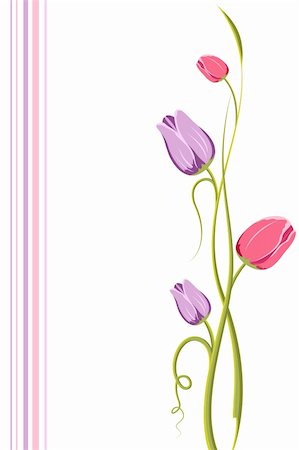 simsearch:400-04162008,k - illustration of swirls of tulip flower on white background with colorful strip Photographie de stock - Aubaine LD & Abonnement, Code: 400-04842062