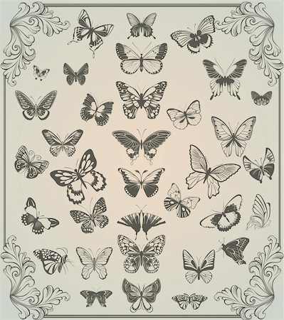 filigree - vintage stylized set of butterflies Stock Photo - Budget Royalty-Free & Subscription, Code: 400-04842230