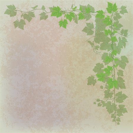 simsearch:400-04846972,k - grunge illustration with grape leaves on grey Stock Photo - Budget Royalty-Free & Subscription, Code: 400-04842307