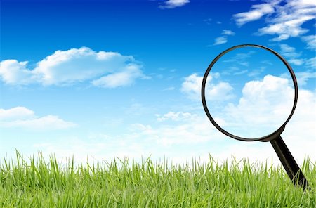 simsearch:400-05318999,k - Magnifying glass on the grass. Photographie de stock - Aubaine LD & Abonnement, Code: 400-04842380
