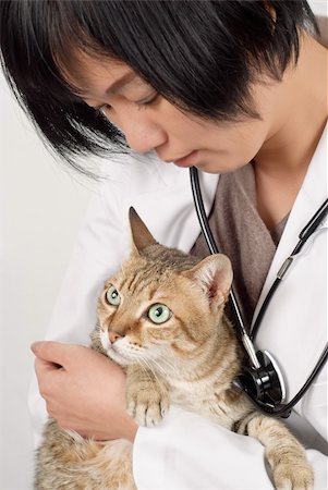 Cute cat holding by animal doctor woman of Asian, half length closeup portrait on white background. Stock Photo - Budget Royalty-Free & Subscription, Code: 400-04842790