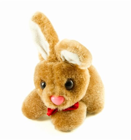 Bunny rabbit isolated on a white background Fotografie stock - Microstock e Abbonamento, Codice: 400-04843664