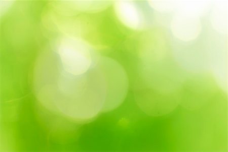 sunlight effect - Green forest bokeh Stock Photo - Budget Royalty-Free & Subscription, Code: 400-04855042