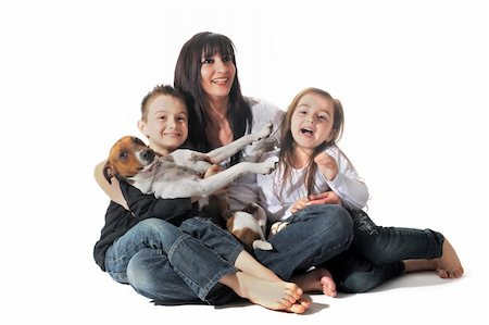 simsearch:400-04681788,k - portrait of a puppy purebred jack russel terrier and family on a white background Stockbilder - Microstock & Abonnement, Bildnummer: 400-04855114