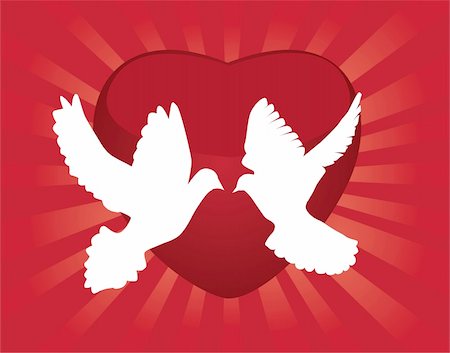 pigeon bird peace - vector illustration of white doves and red heart background Stock Photo - Budget Royalty-Free & Subscription, Code: 400-04855359