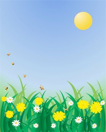 simsearch:400-04785692,k - an illustration of dandelions and daisies in long green grass with bees under a blue summer sky Fotografie stock - Microstock e Abbonamento, Codice: 400-04855377