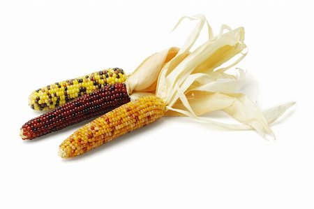Three colorful dried Indian corns on white background Stock Photo - Budget Royalty-Free & Subscription, Code: 400-04855950