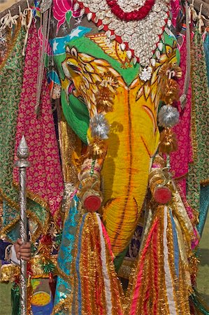 Head of a decorated elephant at the annual elephant festival in Jaipur, India Stock Photo - Budget Royalty-Free & Subscription, Code: 400-04856435