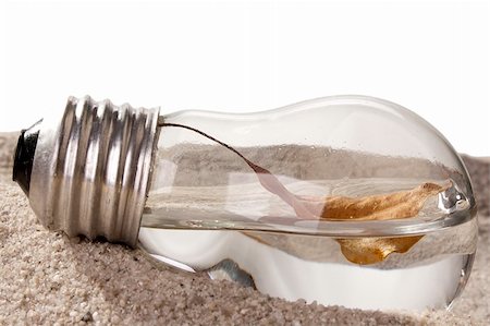 Dry brown leaf in a light bulb on sand. Stock Photo - Budget Royalty-Free & Subscription, Code: 400-04856431