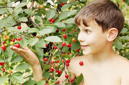 Boy holds cherries in the hand near the tree Stock Photo - Budget Royalty-Free & Subscription, Code: 400-04856454