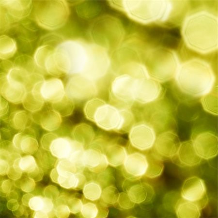 sunlight effect - Beautiful nature green bokeh background Stock Photo - Budget Royalty-Free & Subscription, Code: 400-04856456