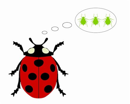 poux - Ladybird diet Photographie de stock - Aubaine LD & Abonnement, Code: 400-04856695