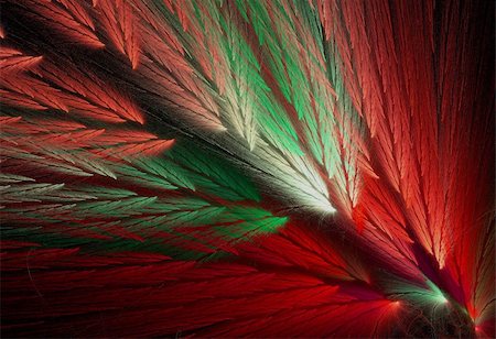 simsearch:400-04365296,k - Red and green Christmas colored feather fractal shaped similar to parrot wings. Stock Photo - Budget Royalty-Free & Subscription, Code: 400-04858169
